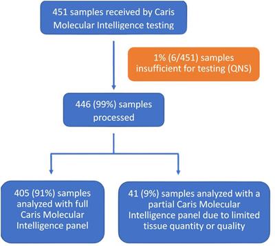 Comprehensive molecular profiling identifies actionable biomarkers for patients from Thailand and the United Arab Emirates with advanced malignancies